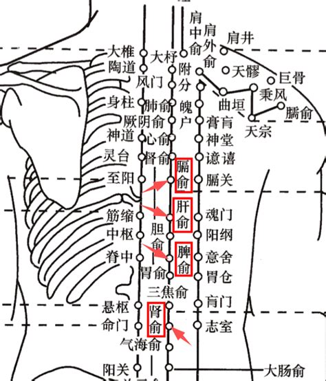 鞭穴|21